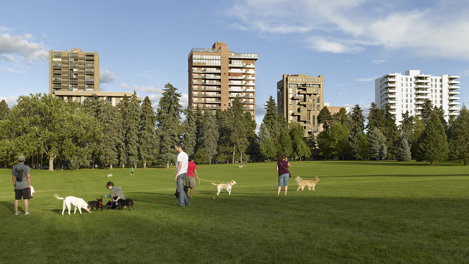 Denver Cheesman Park