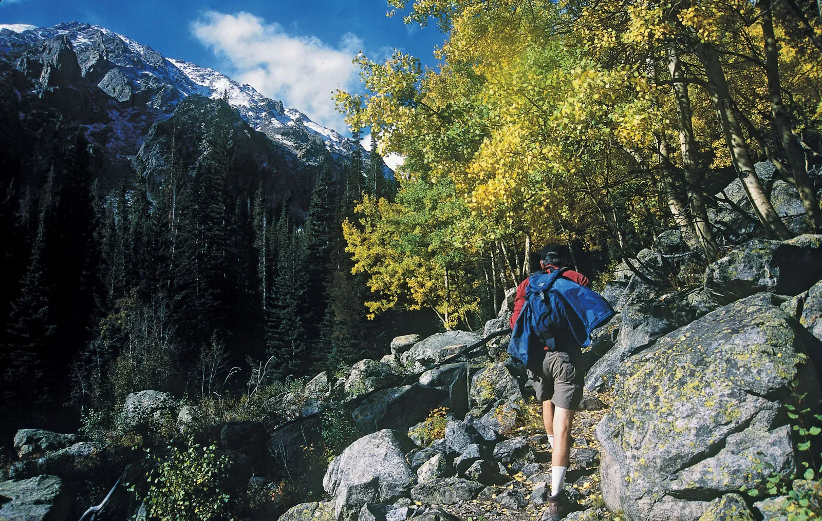 Hiking Enthusiasts Beauty of the Outdoors