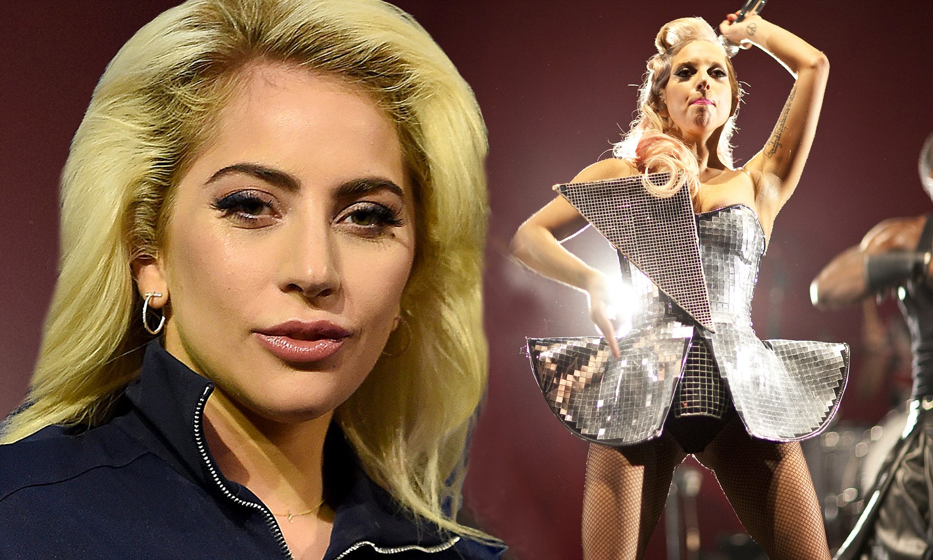 Lady Gaga Fame and Stardom