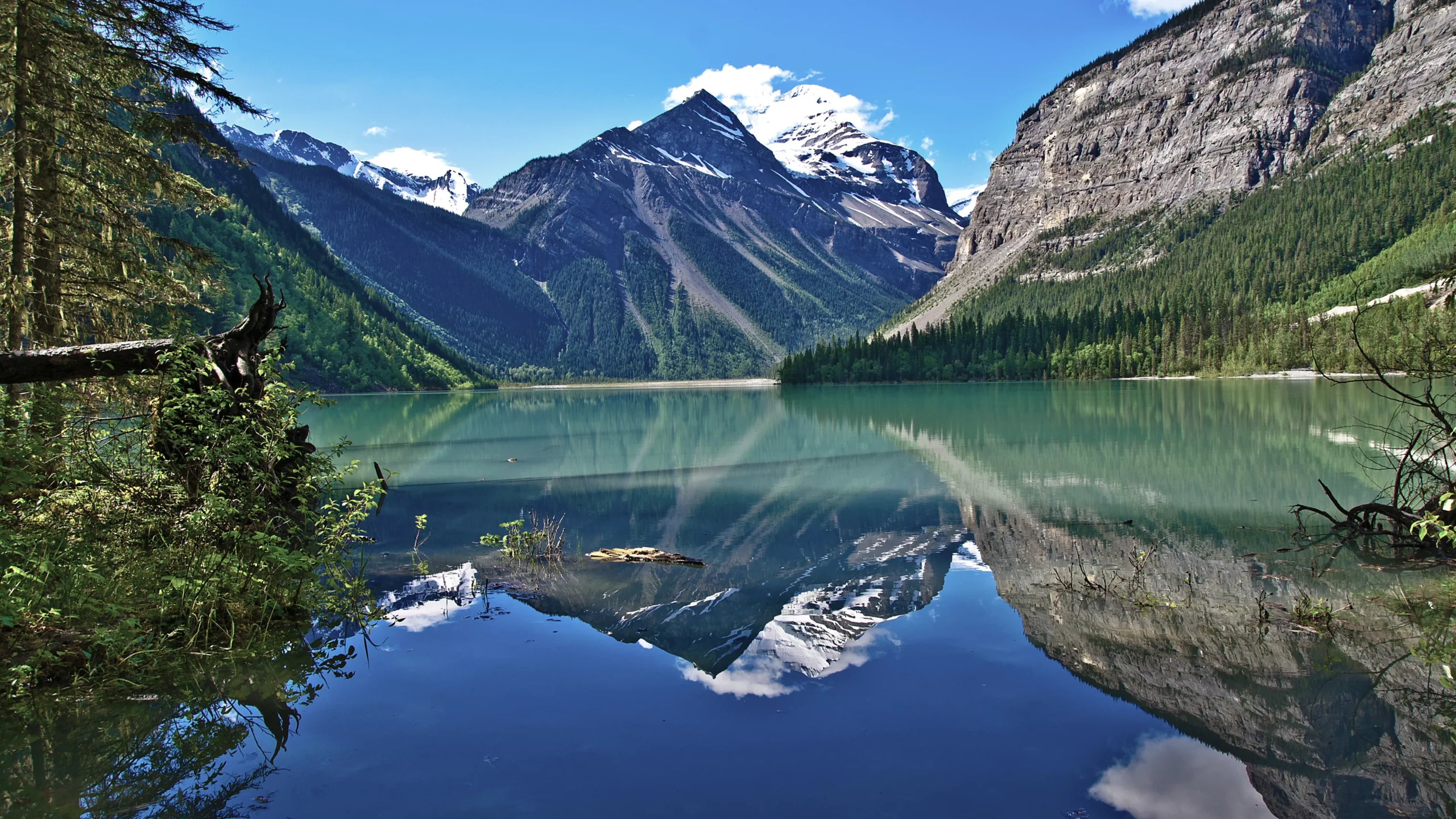 Natures Wisdom on Learning from the Outdoors scaled