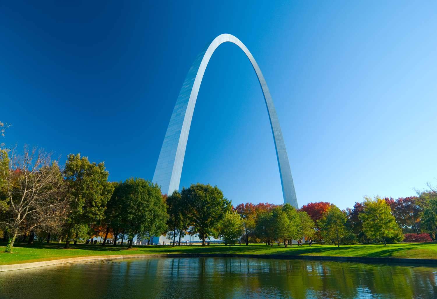 Best Things to Do in St. Louis A Local's Guide----