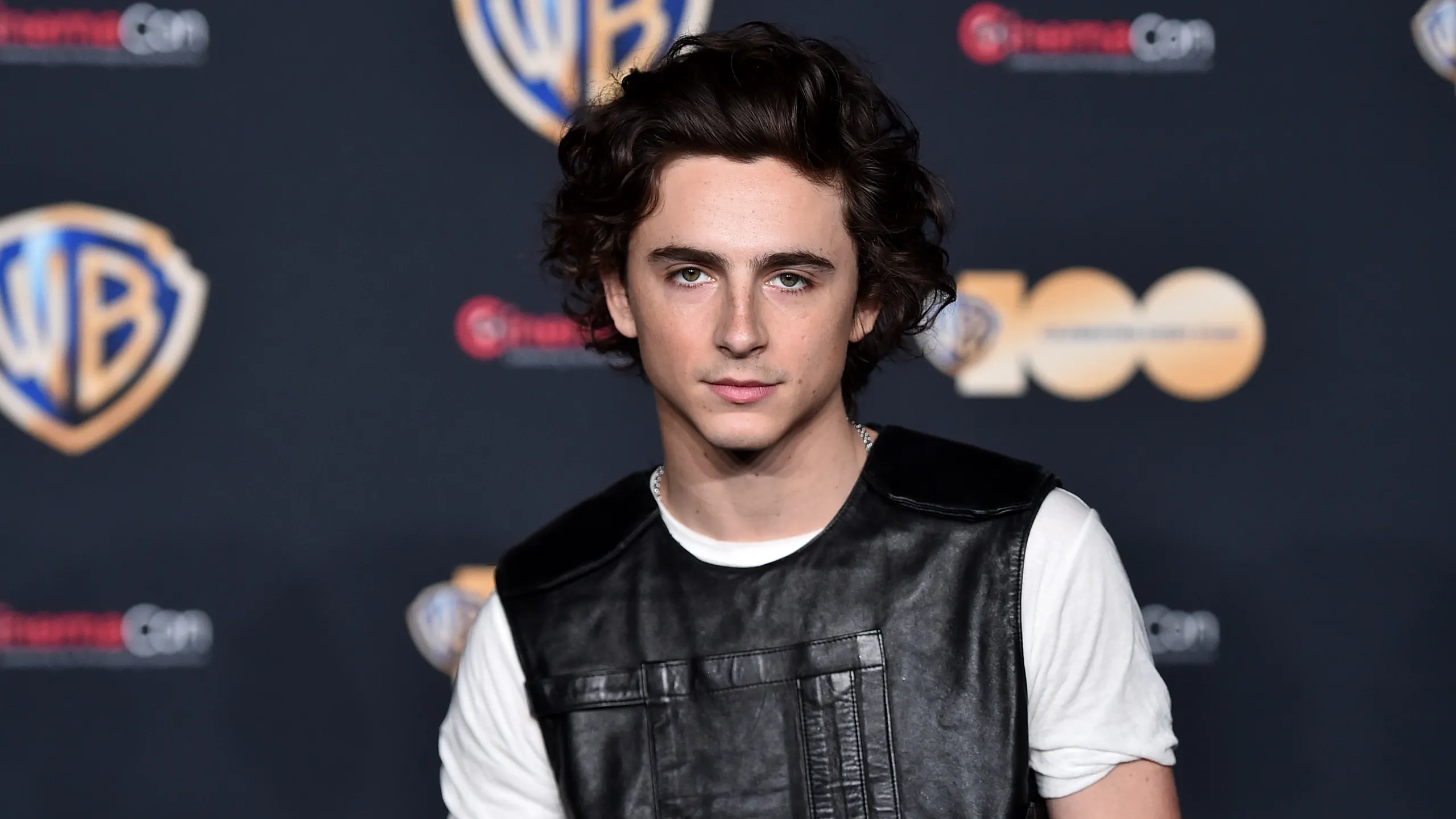 Can a Red Dead Redemption 2 Movie Work? Timothée Chalamet Shares His Doubts