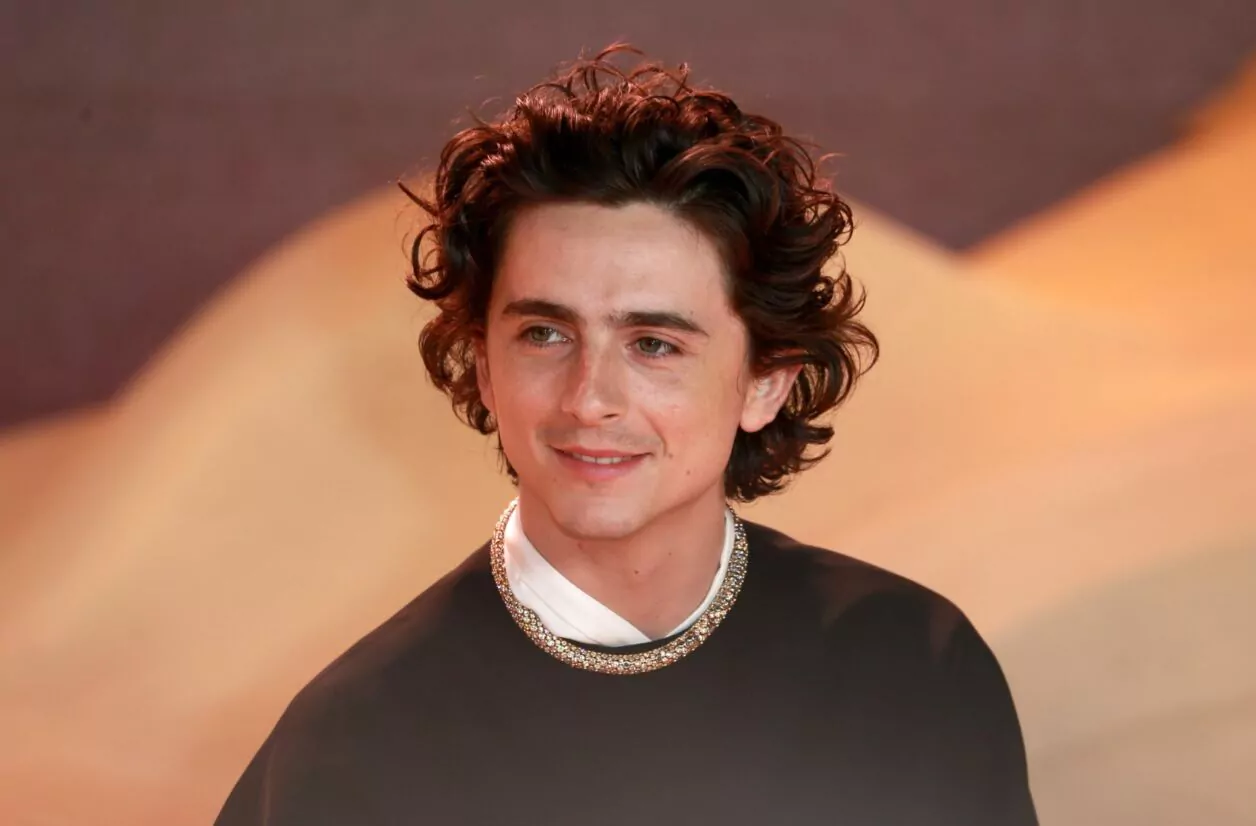 Can a Red Dead Redemption 2 Movie Work? Timothée Chalamet Shares His Doubts