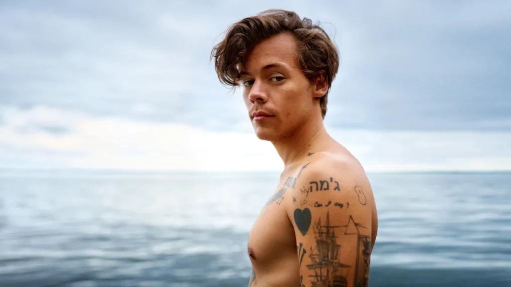 Top 80 Harry Styles Lyrics for Captivating Captions-