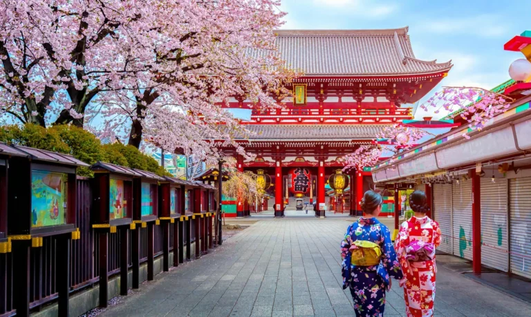 Top Things to Do in Tokyo Must-See Attractions-