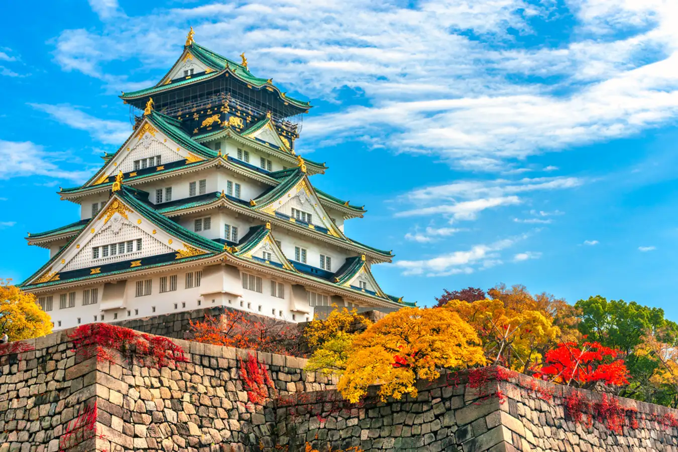 Top Things to Do in Tokyo Must-See Attractions----------