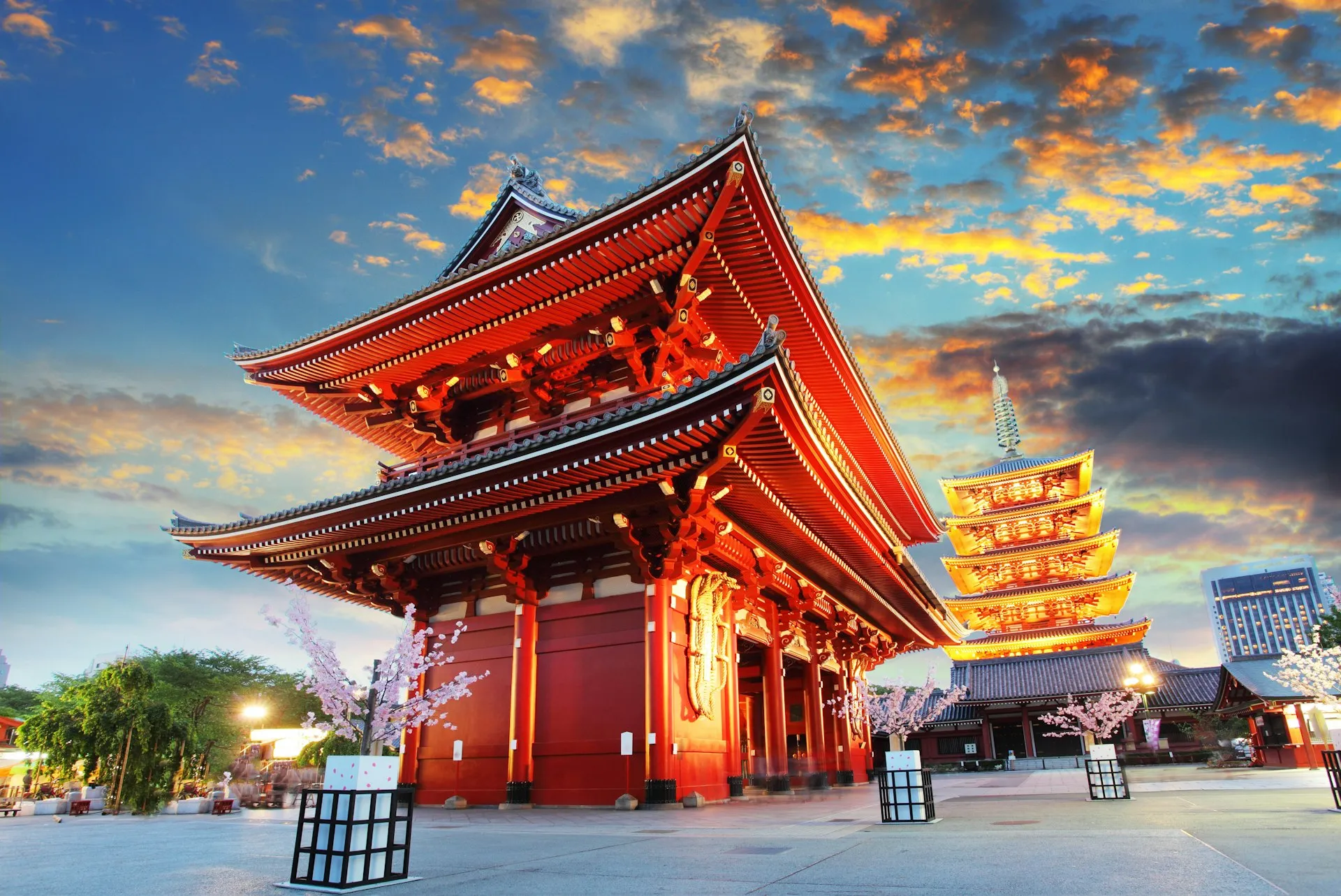 Top Things to Do in Tokyo Must-See Attractions--