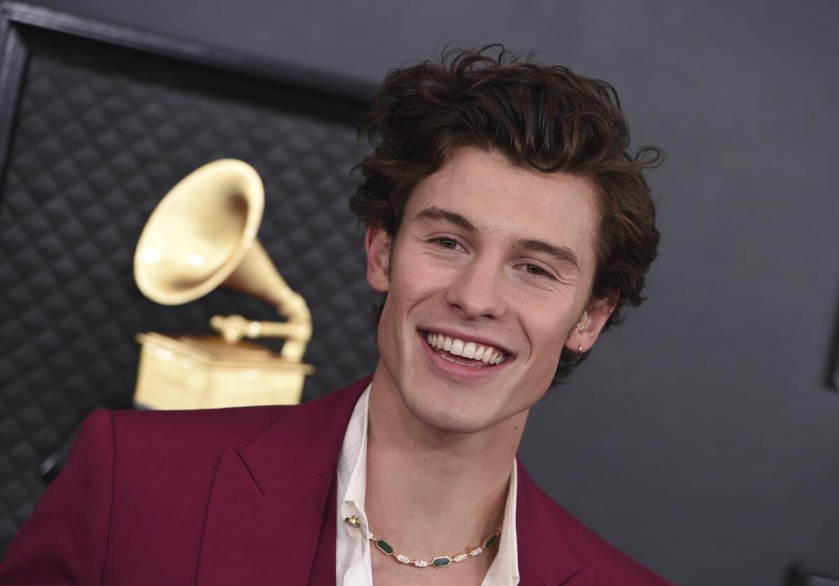 100+ Shawn Mendes Captions for Social Media--------------