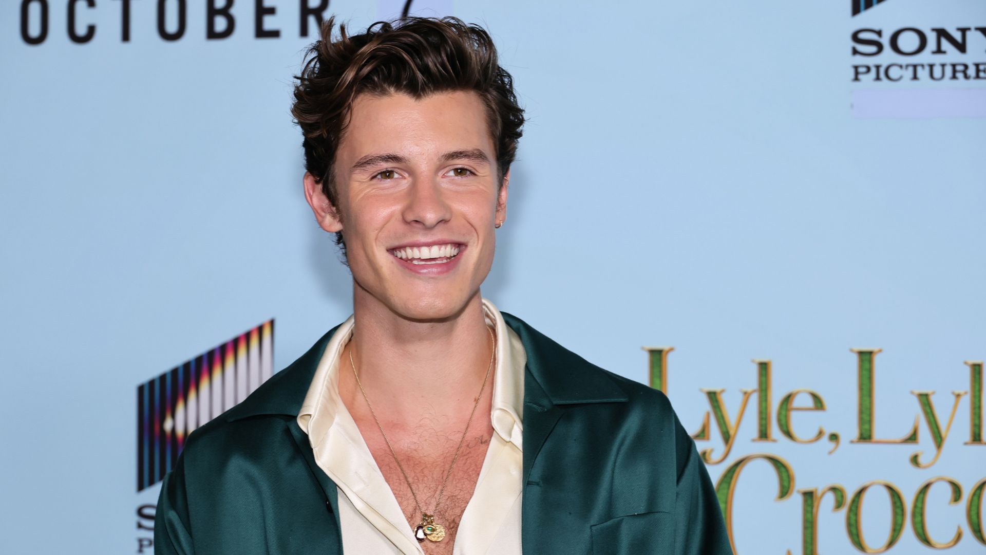 100+ Shawn Mendes Captions for Social Media--