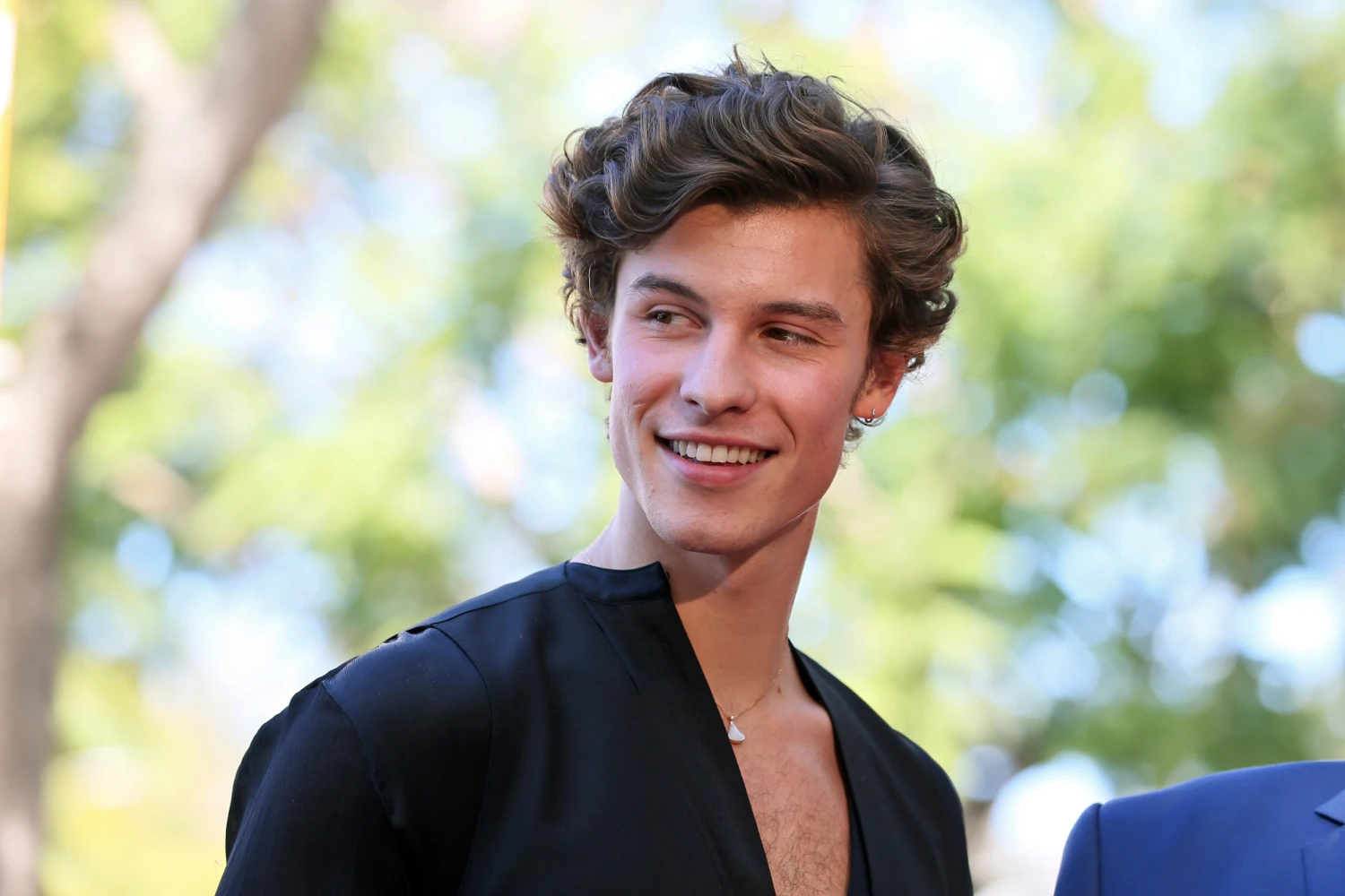 100+ Shawn Mendes Captions for Social Media--------