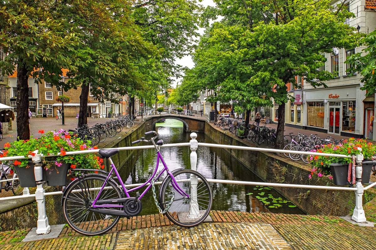 Best Things to Do in Amsterdam A Local's Guide---