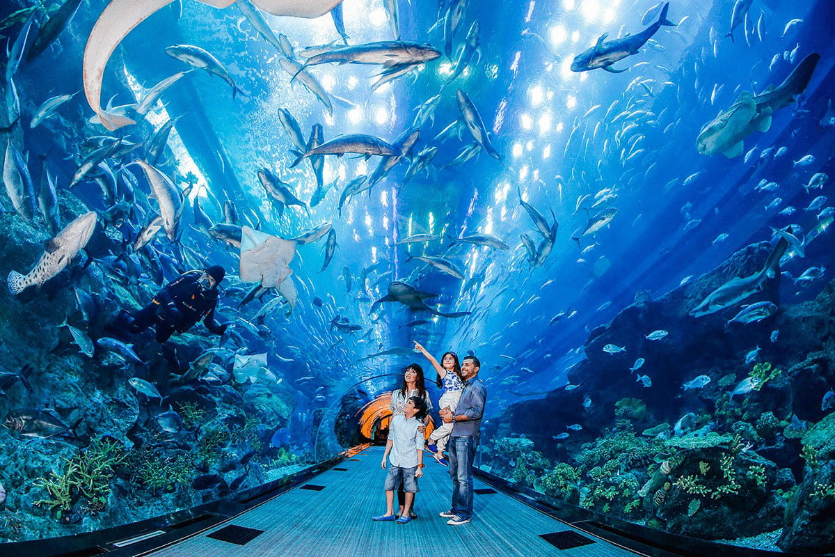 Best Things to Do in Dubai for Tourists----