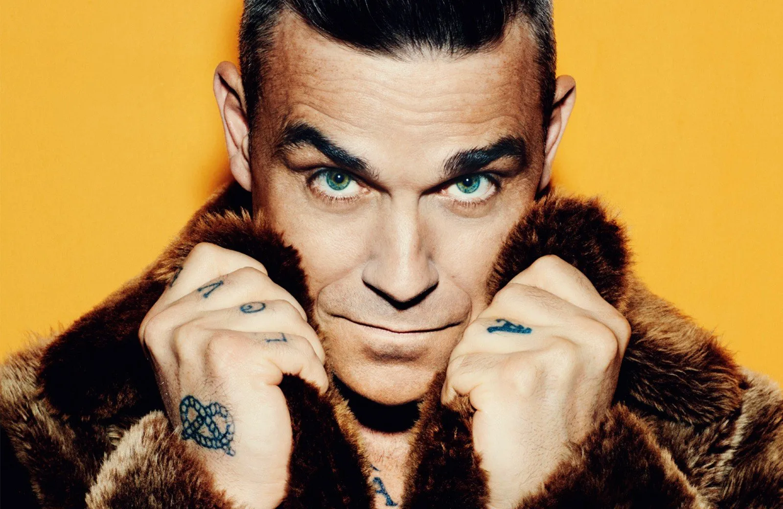 100+ Robbie Williams Lyrics for Pop Iconography---