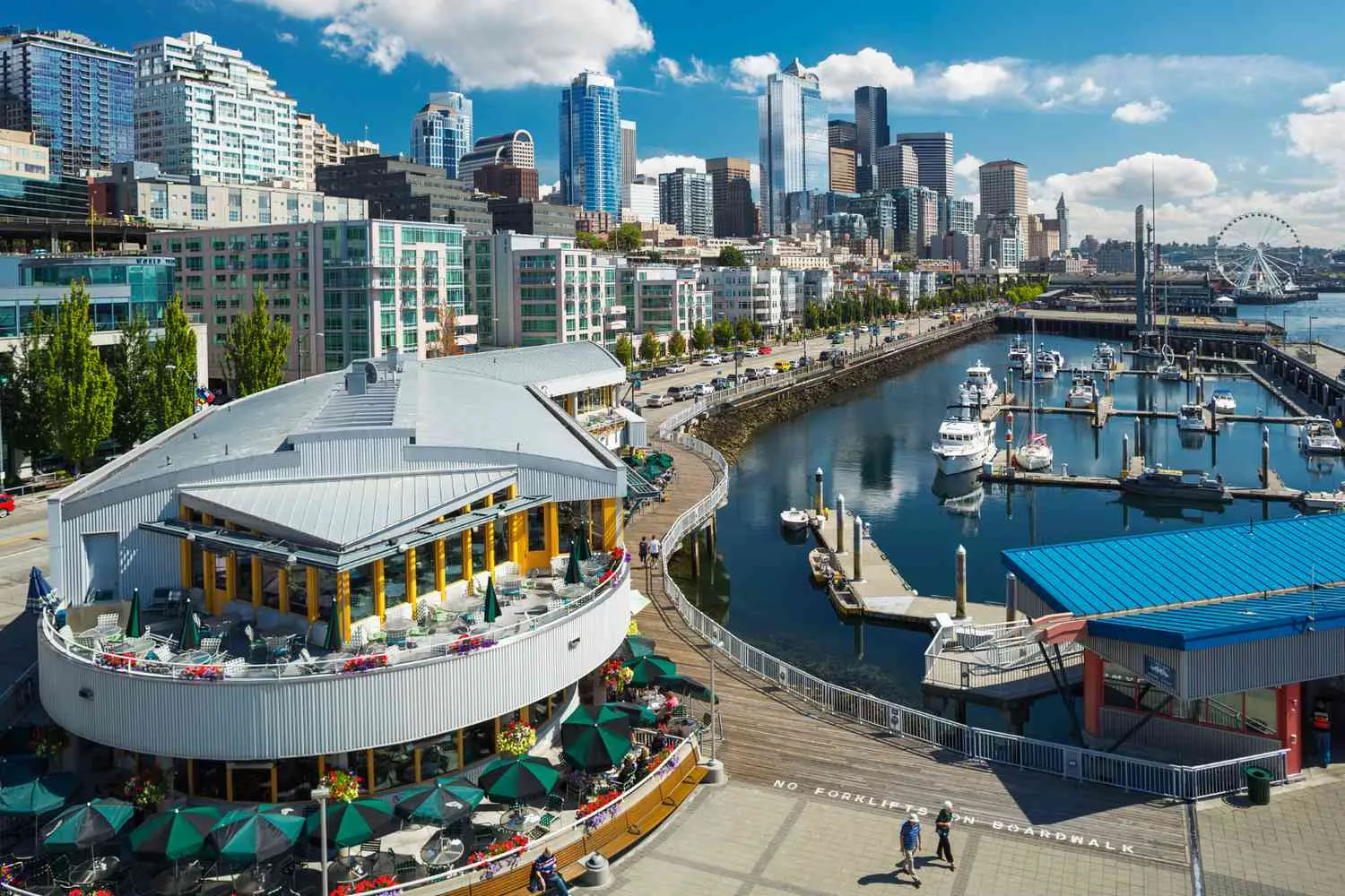 Best Activities and Sights in Seattle A Local's Guide----