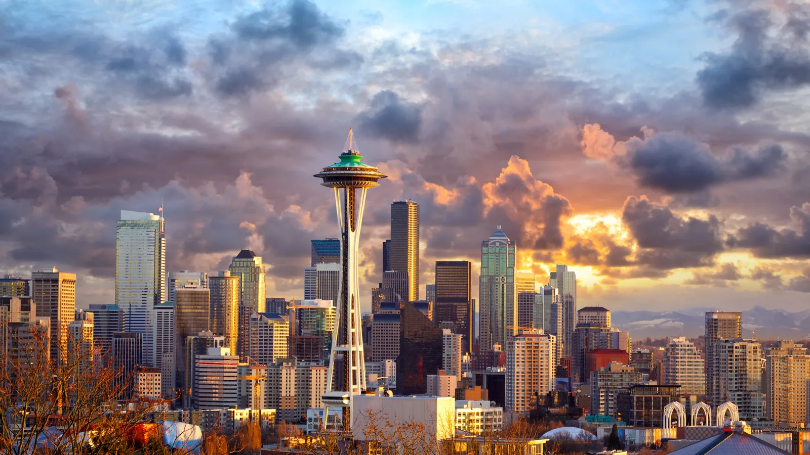 Best Activities and Sights in Seattle A Local's Guide