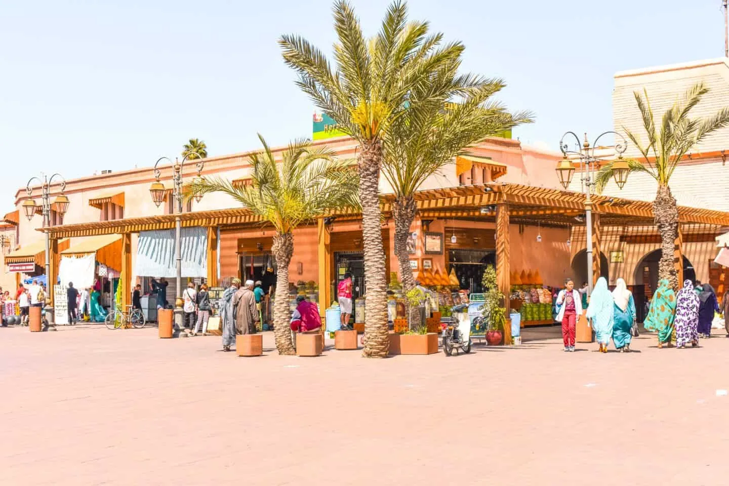 Top 50 Attractions in Marrakech for Adventurous Travelers----------