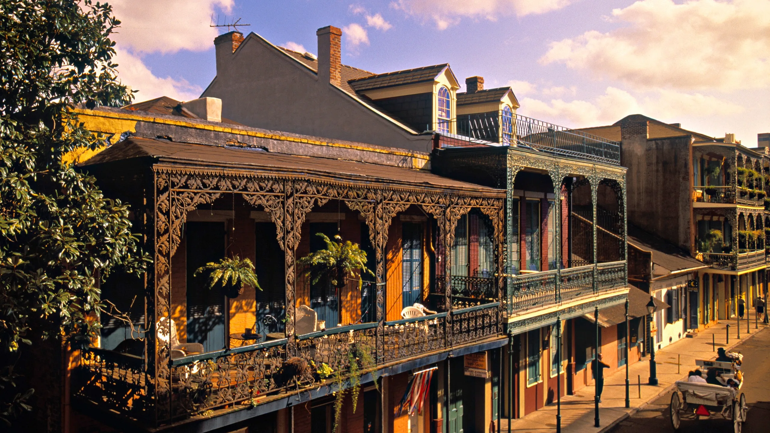 Top 50 Tourist Spots in New Orleans--------