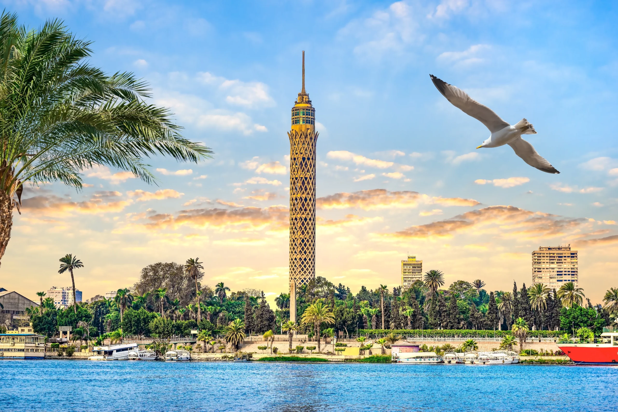 Best Things to Do in Cairo A Guide to Ancient Wonders---------------