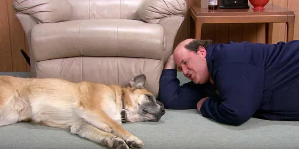 Unveiled Secrets: The Office's Scrapped 'Pet Day' Episode Featuring Dwight's Wolf