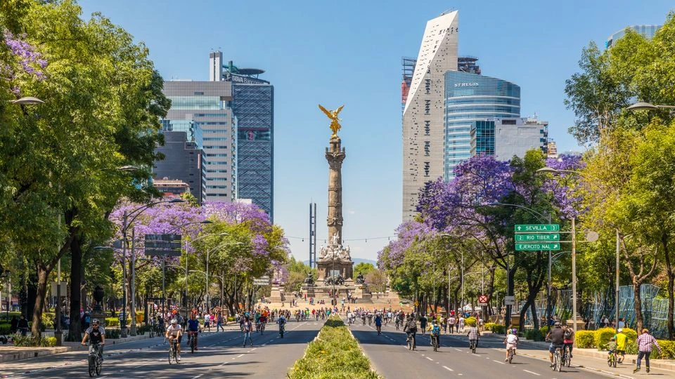 80+ Must-Visit Spots in Mexico City--------