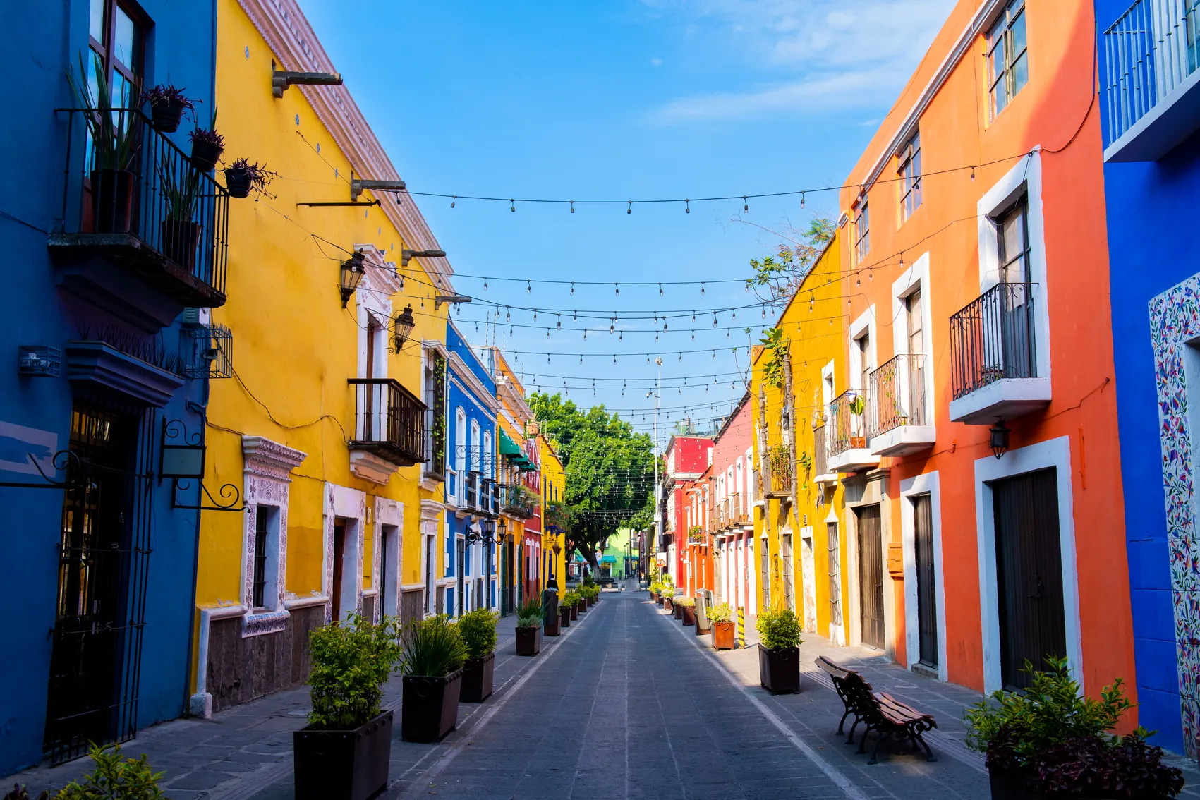 80+ Must-Visit Spots in Mexico City---