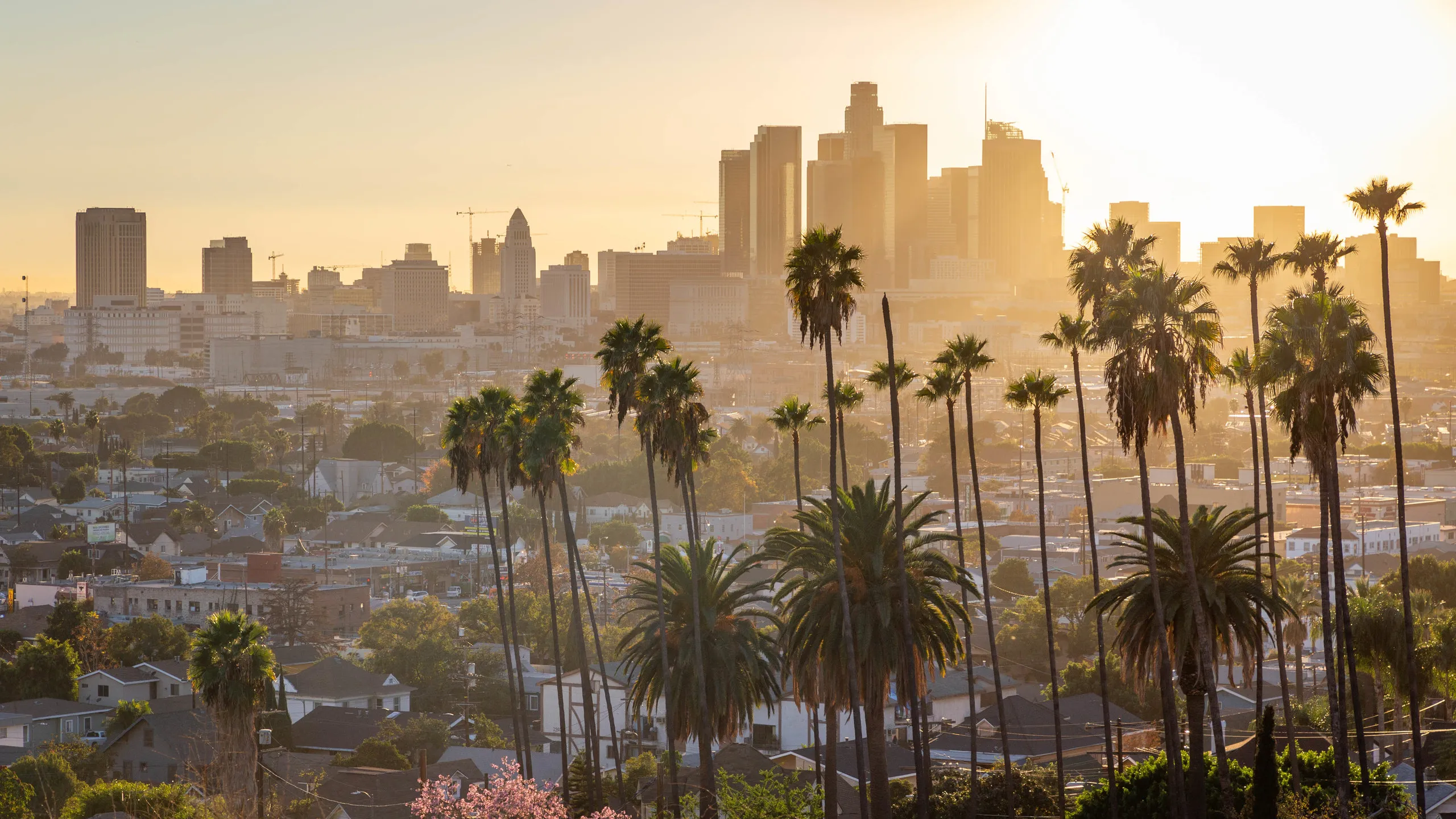 Best Things to Do in Los Angeles A Local’s Guide-