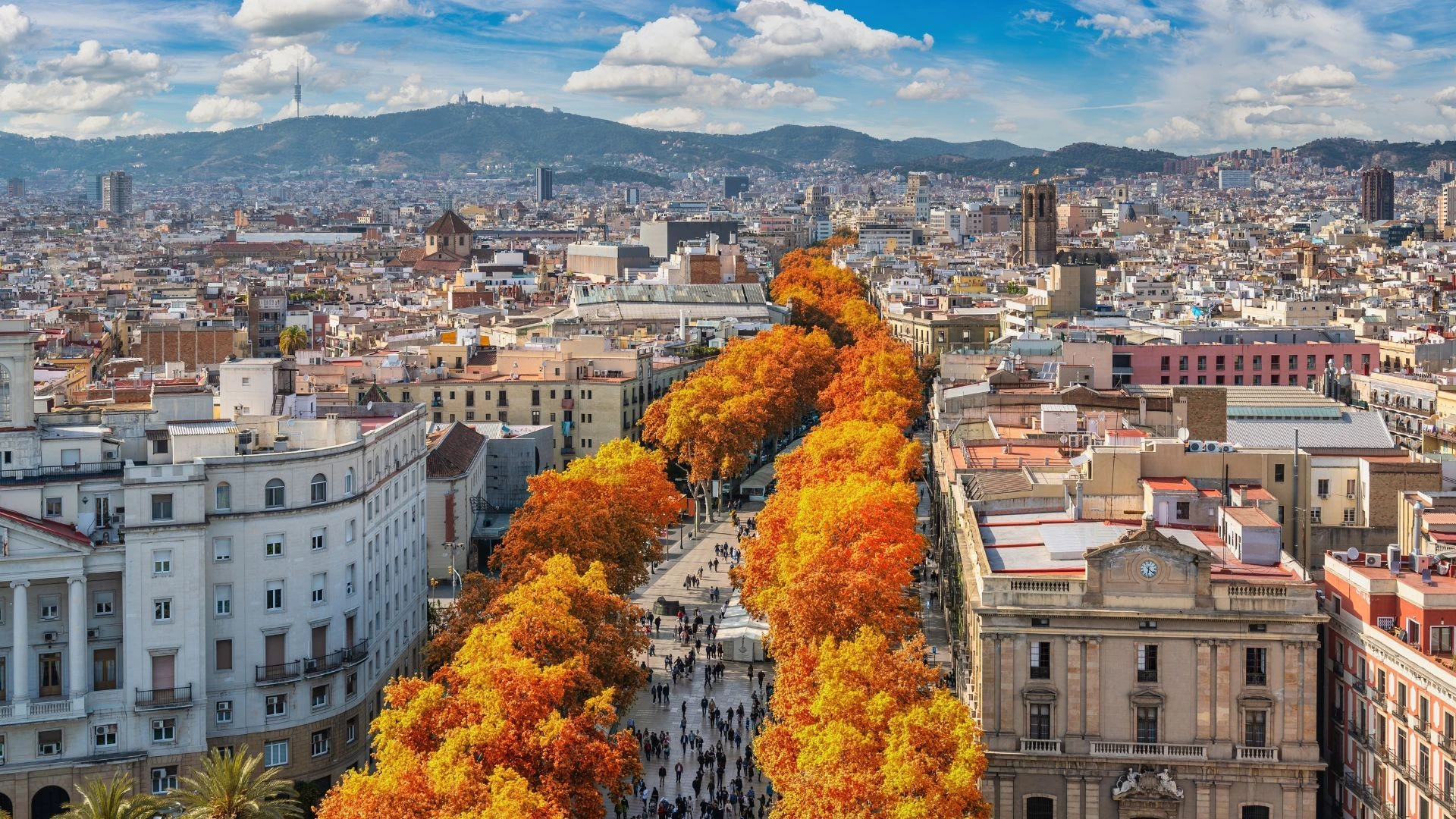 Top 50 Places to Visit in Barcelona-